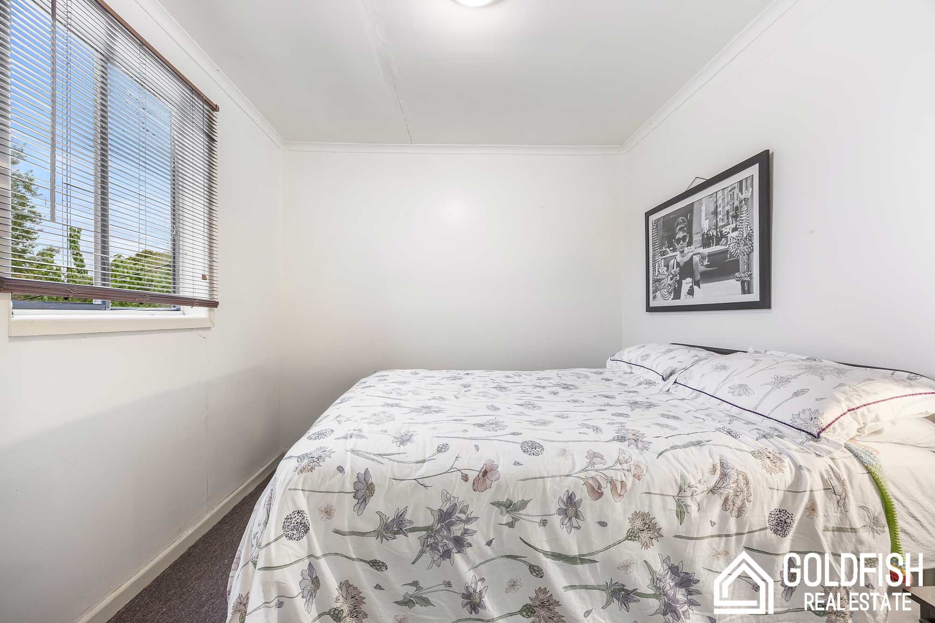 https://agentboxcdn.com.au/clients-data/8061/public_html/media/lt/1/1P0343/173975407105742509-rsd.jpg
